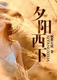 夕阳西下封面