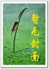 无上圣天封面