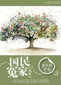 韩娱之国民冤家人封面