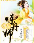 极品炼丹师封面
