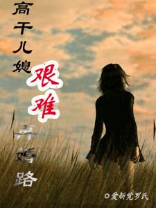 高干儿媳的艰难再婚路封面