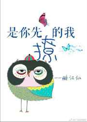 是你先撩的我封面