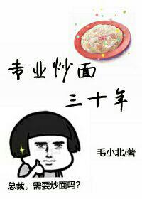 专业炒面三十年封面