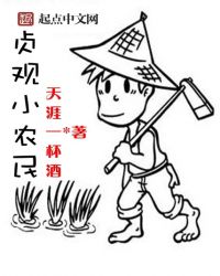 贞观小农民封面