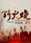 野火烧封面