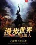 漫步世界的旅人封面