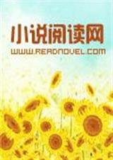 腹黑爷的犯二妃封面