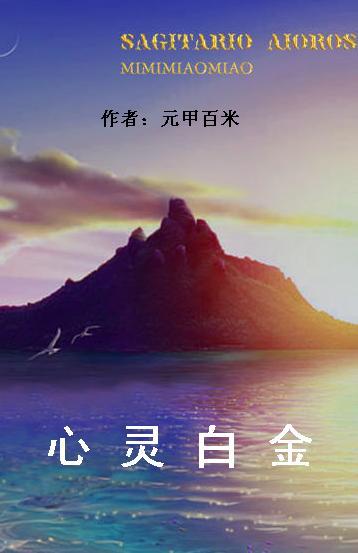 心灵白金封面