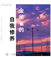 ��˿ȸ����������