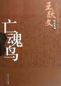 亡魂鸟封面