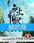 无上仙国封面