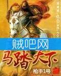 马踏天下封面