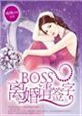 boss离婚请签字封面