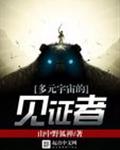 多元宇宙的见证者封面