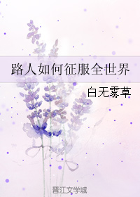 路人如何征服全世界封面