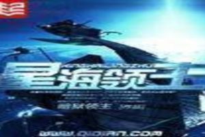 星海领主封面