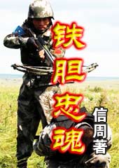 铁胆忠魂封面