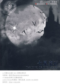 七星宝石封面