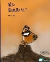 狗狗的日记封面