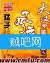 大汉帝国风云录封面