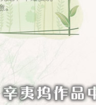 晨昏封面