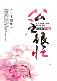 公主很忙封面