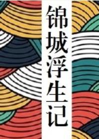 锦城浮生记封面