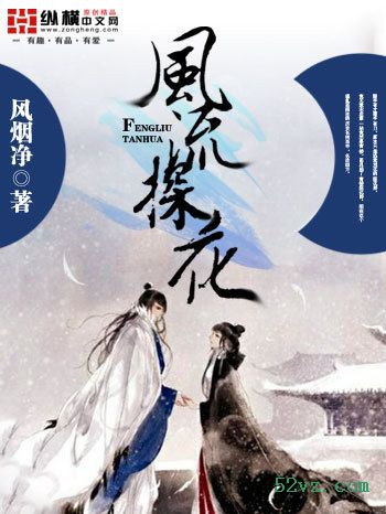 风流探花封面