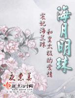 海月明珠封面