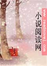 总裁停我是大灰狼封面