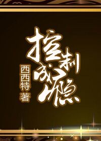 控制成瘾封面