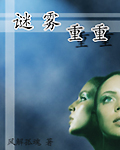 谜雾重重封面