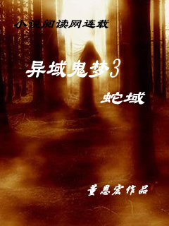 异域鬼梦3封面