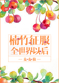 楠竹征服全世界以后封面