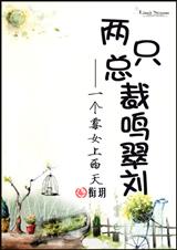 两只总裁鸣翠刘封面