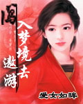 闯入梦境去遨游封面