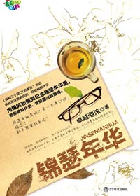 锦瑟年华封面