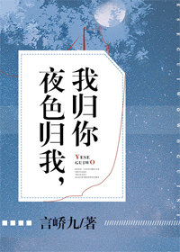 夜色归我,我归你封面