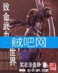 致命武力之新世界封面