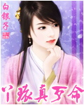 丫环真歹命封面