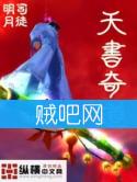 天书奇道封面