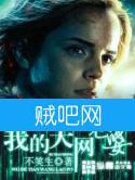 我的天网老婆封面