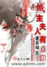 城主夫人有点帅txt封面