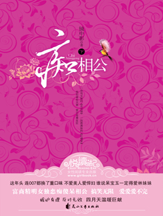 痴相公封面