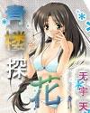 青楼探花封面