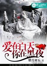 爱在白天,你在黑夜封面