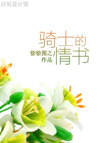 骑士的情书封面