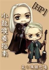 hp 小龙喂养指南封面