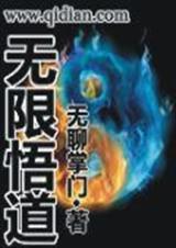 无限悟道封面
