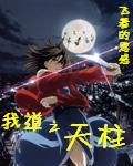 我道之天柱封面
